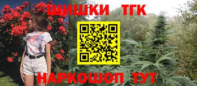 гашик Кулебаки