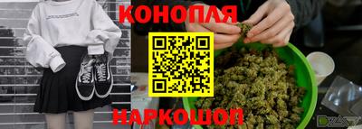 spice Кунгур